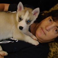 Michele Kelly Photo 26