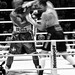 Shannon Briggs Photo 21