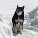 Tracey Myers Photo 15