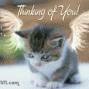 Teresa Worley Photo 18