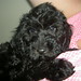 Mattie Sharp Photo 8