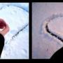 Sarah Giese Photo 14
