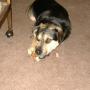 Sheryl Gray Photo 34