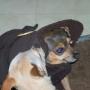 Betty Norton Photo 26