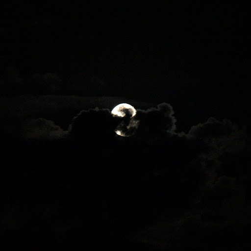 Tammy Cox Photo 5