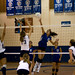 Pamela Knapp Photo 13