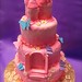 Debbie Castle Photo 20