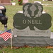 Michael O'Neil Photo 13