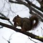 Theresa Bradshaw Photo 22
