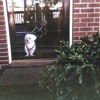 Connie Dotson Photo 7