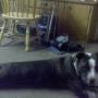 Randy Taylor Photo 16