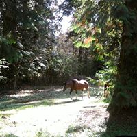 Ruth Warner Photo 25