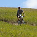 Adam Meeks Photo 16