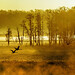 Terra Reed Photo 17