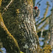 April Dorris Photo 11