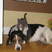 Charlie Stringer Photo 20