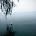 Cu Tran Photo 19