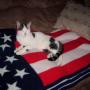 Cindy Mccord Photo 26