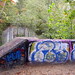 Dawson Hill Photo 13