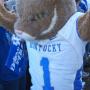 Kevin Creech Photo 13