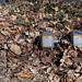 Carroll Fisher Photo 9
