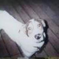 Sandra Lackey Photo 10
