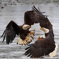 Larry Becker Photo 11