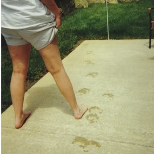 Sharon Crawford Photo 36