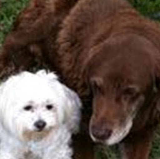 Ruth Hampton Photo 3
