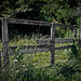 Barb Wolfe Photo 9