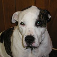 Debbie Wilson Photo 32