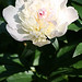 Bud King Photo 15