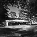 Andrew Armstrong Photo 22