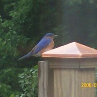 Maria Coffman Photo 5