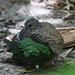Kimberly Howe Photo 14