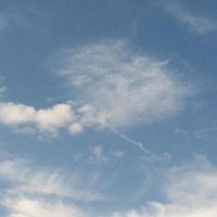 Jessica Weems Photo 16