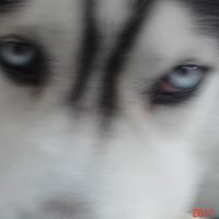 Linda Hassett Photo 5
