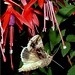 Janet Clark Photo 37