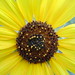 Scott Matheson Photo 31