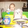 Joyce Thompson Photo 28
