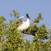 Patricia Stork Photo 2