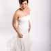 Adam Farber Photo 17