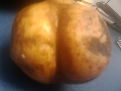 Willie Curtis Photo 5