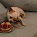 Antoinette Berry Photo 12