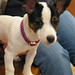 Dolly Robertson Photo 7