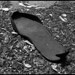 Ann Sole Photo 17