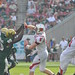 Jason Leavitt Photo 13