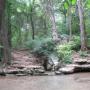 Tanya Matthews Photo 25