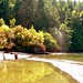 Suzanne Pender Photo 16