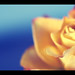 Rose Wright Photo 17